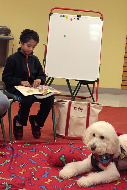 Paws 2 read